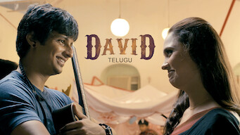 David (Telugu) (2013)